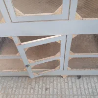 قفس|لوازم جانبی حیوانات|بهشهر, |دیوار