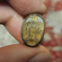 مهره عکس مرغ