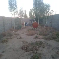 دشت-انقلاب