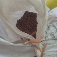 لوبیا قرمز بومی  درجه یک