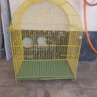 قفس پرنده