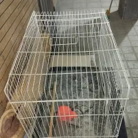 قفس بزرگ  33در 50