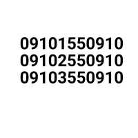 ۰۹۱۰.۲۵۵.۰۹۱۰