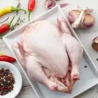 فروش اکبر جوجه منجمد