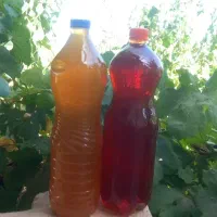 آبغوره و سرکه انگور