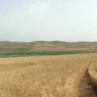 سه قطعه زمین جمعا5هکتار بفروش میرسد