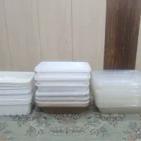 ظرف غذا