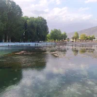 برنج چمپا میلاس منی 2900