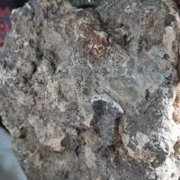 سنگ زیباشعابی