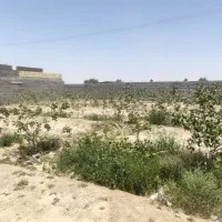 زمین-باغی-براآن-برای-لاکچری-پسندان