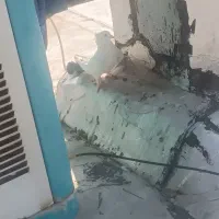 کبوتر