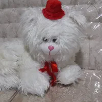 عروسک