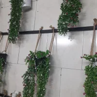 دیزاین گلدانی،و چوب بامبو