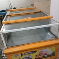 یخچال ویترینی مرغی