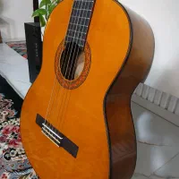 گیتار C70|گیتار، بیس، امپلیفایر|آمل, |دیوار