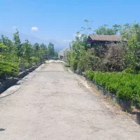 کارگر متاهل علاقمند به گل و گیاه