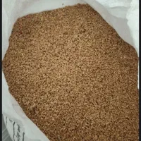 گندم تمیزفقط کیلویی ۴۲ هزار