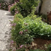 فروش خانه ویلایی ۲۵۰ متری پایگاه خ دوران
