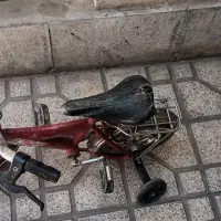 دوچرخه
