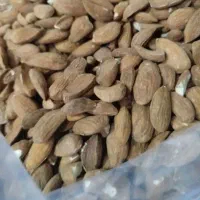 شکستن پوست فندق گردو و بادام با دستگاه