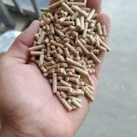 دان پارس تخم گذار