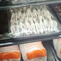 پای مرغ