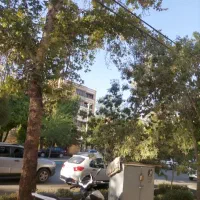 اجاره-دفتر-کار