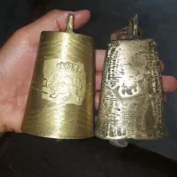 زنگوله برنجی ، شترنشان