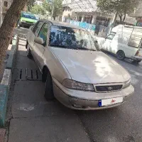 دوو سیلو  ۸۱