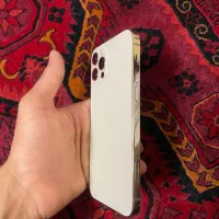 iPhone 12 Proدرحد خشک