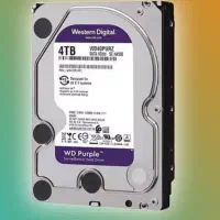 هارد ۴ ترا بنفش