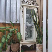 سرویس چوبی آینه کنسول ساعت ویترین