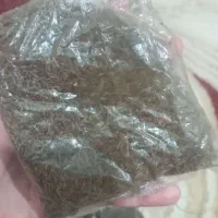 زیره  رمون