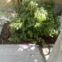 خونه حیاط دار فروشی