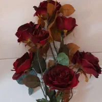 گل وگلدان