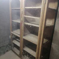 جفتخون کبوتر