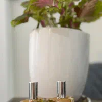 دو عدد اسانس عطر لویی‌ ویتون امبرنوماد