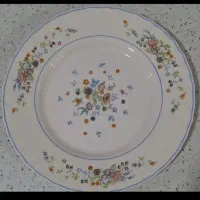آرکوپال لومینارک اصل فیل آبی