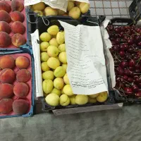 فروش میوه زیر قیمت بازار