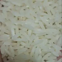 برنج هاشمی درجه یک 630هزار تومان