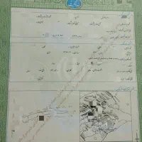زمین کشاورزی در کامیاران