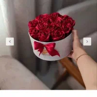 گل قرمز|گل و گیاه طبیعی|مریوان, |دیوار