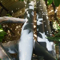 اتاق پیکان بار