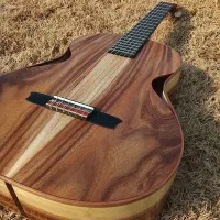 گیتار حرفه ای تمام چوب وودین woodin