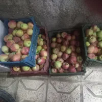 سیب
