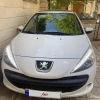 207 پانا در حد خشک