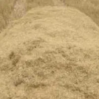 فروش کاه جو