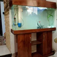 آکواریوم کمدی شیشه خم شرکتی