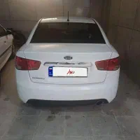 سراتو2000 وارداتی تک برگ سفید فوق العاده سالم