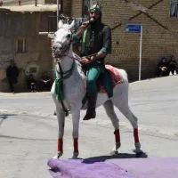 اسب کرد